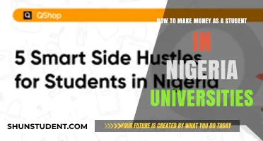 Lucrative Ways Nigerian Students Can Make Money