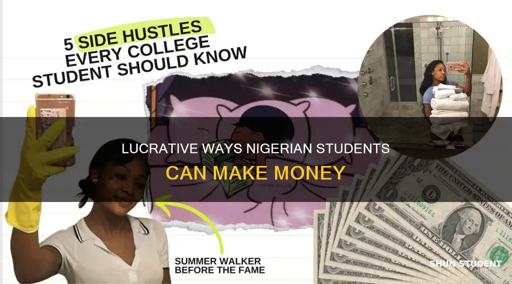 how to make money as a student in nigeria universities