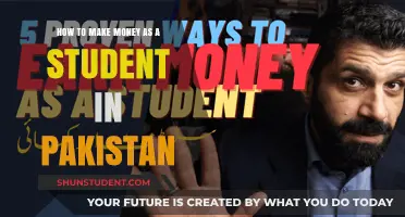 Unlocking Financial Freedom: A Student's Guide to Earning in Pakistan