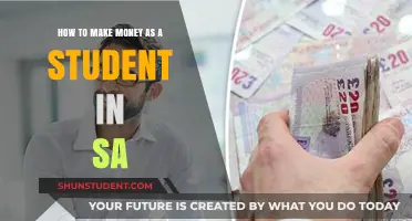 Lucrative Opportunities: How Students in SA Can Earn Extra Cash