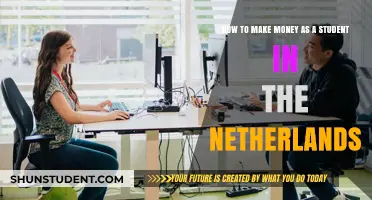 Unlocking Financial Freedom: A Student's Guide to Earning in the Netherlands