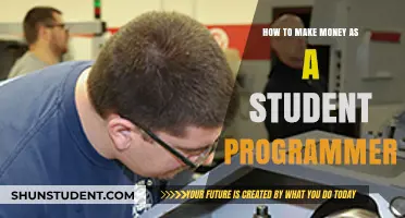 Unlocking Earnings: A Student Programmer's Guide to Financial Success