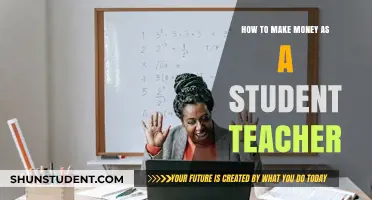 Smart Strategies for Student Teachers to Earn Extra Income