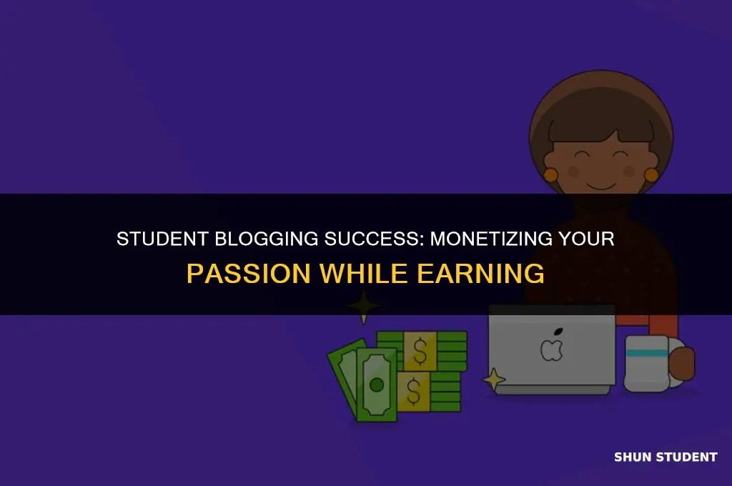 how to make money as a student with a blog