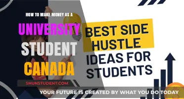Lucrative Options for Canadian University Students