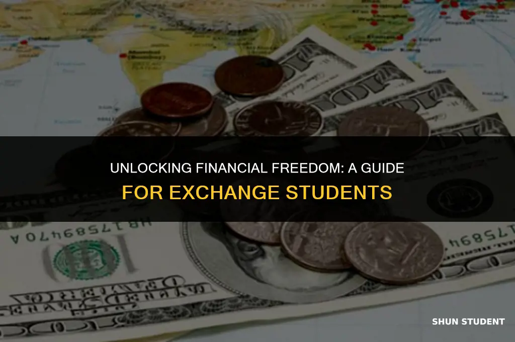 how to make money as an exchange student