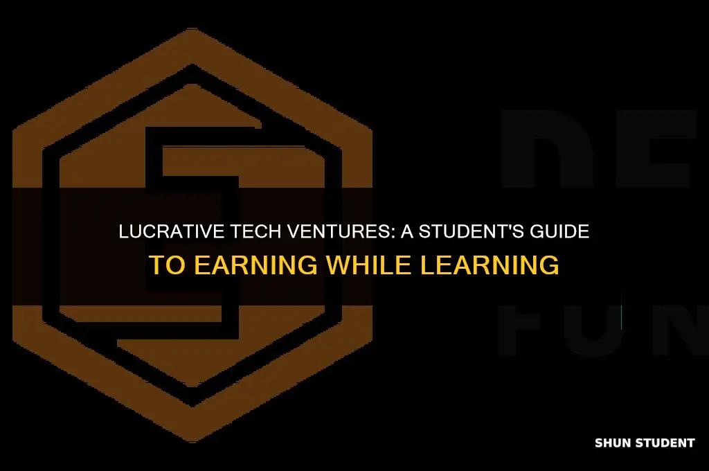how to make money as an information technology student