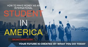 International Students: Earning Money in the USA