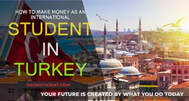 Making Money in Turkey as an International Student