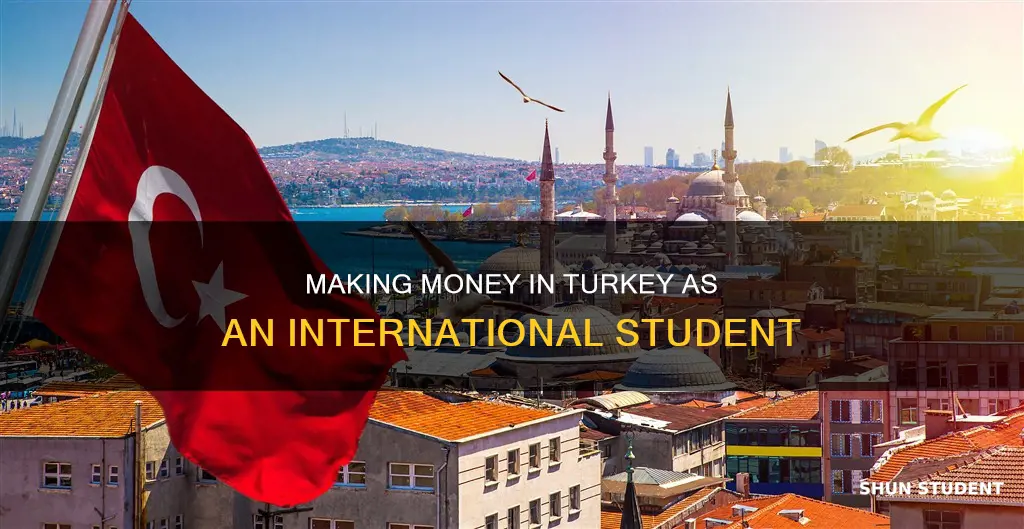 how to make money as an international student in turkey