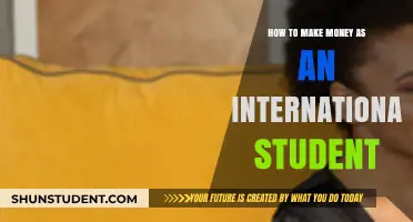 International Students: Make Money, Gain Experience
