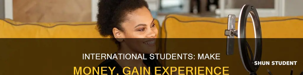 how to make money as an international student