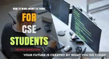 Lucrative Home-Based Ventures for Computer Science Students