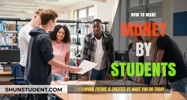 Lucrative Ventures: How Students Can Turn Skills into Income