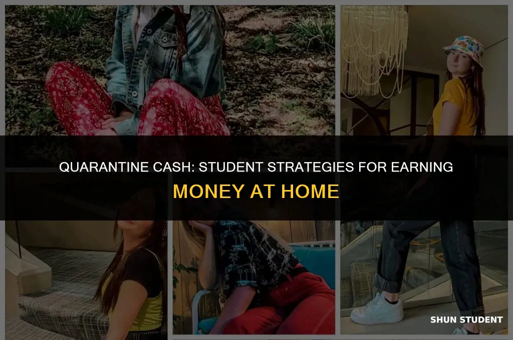 how to make money during quarantine as a student