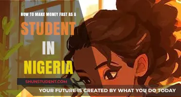 Quick Cash: Lucrative Ways for Nigerian Students to Earn Extra Income