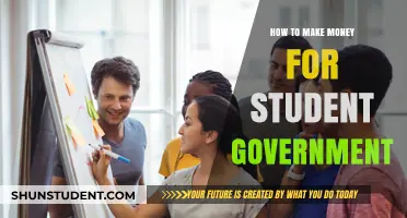 Lucrative Strategies for Student Governments to Boost Their Budget