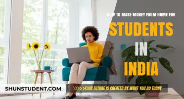 Lucrative Home-Based Ventures: A Student's Guide to Earning in India