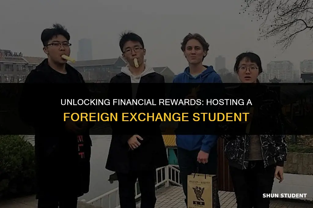 how to make money hosting a foreign exchange student