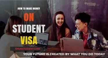 Unlocking Financial Freedom: A Guide to Earning on a Student Visa