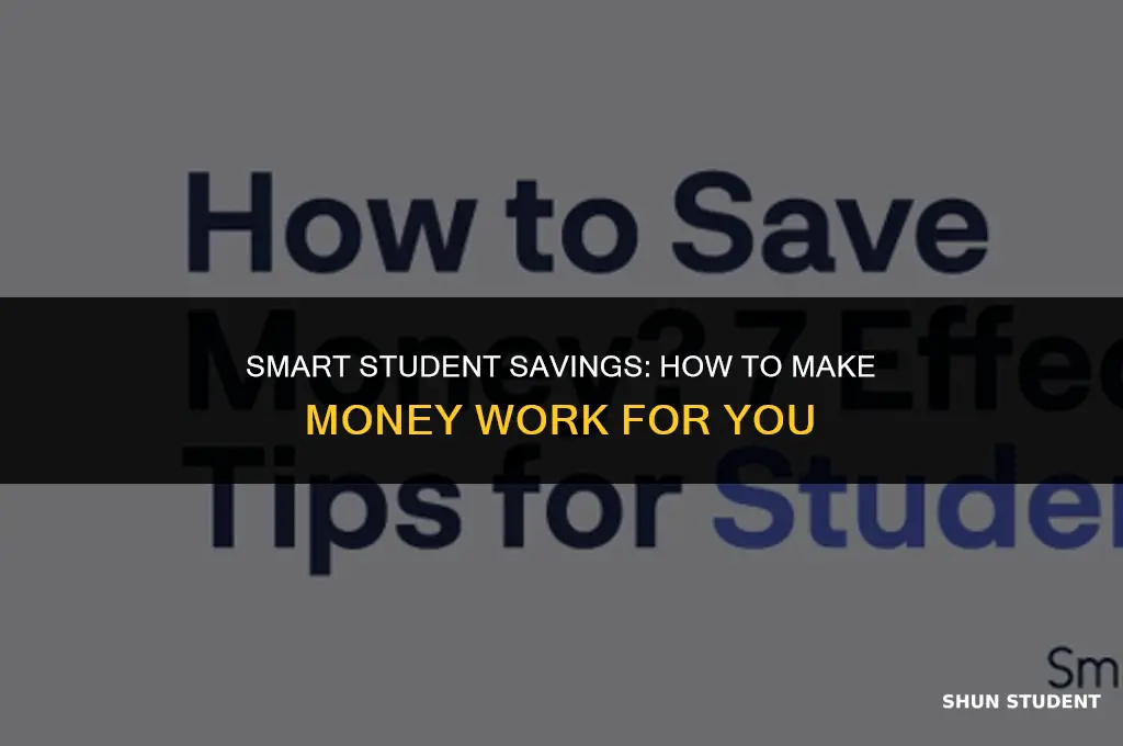 how to make money save the student