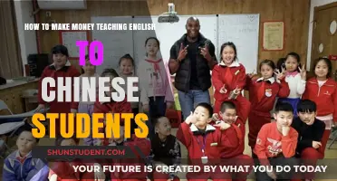 Teach English Online: Profitable Strategies for Chinese Student Success