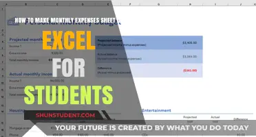 Excel for Students: Crafting a Monthly Expenses Sheet Made Easy