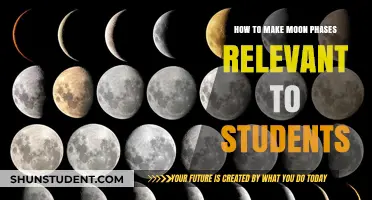 Exploring Lunar Cycles: Engaging Students with Moon Phases