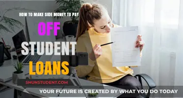 Lucrative Side Gigs to Repay Student Loans