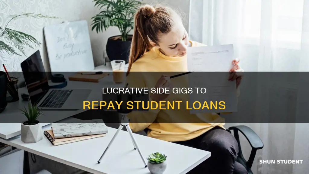how to make side money to pay off student loans