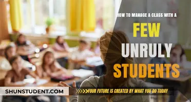 Strategies for Handling Unruly Students in Your Classroom
