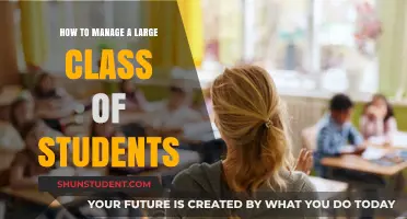 Effective Strategies for Managing a Large Classroom
