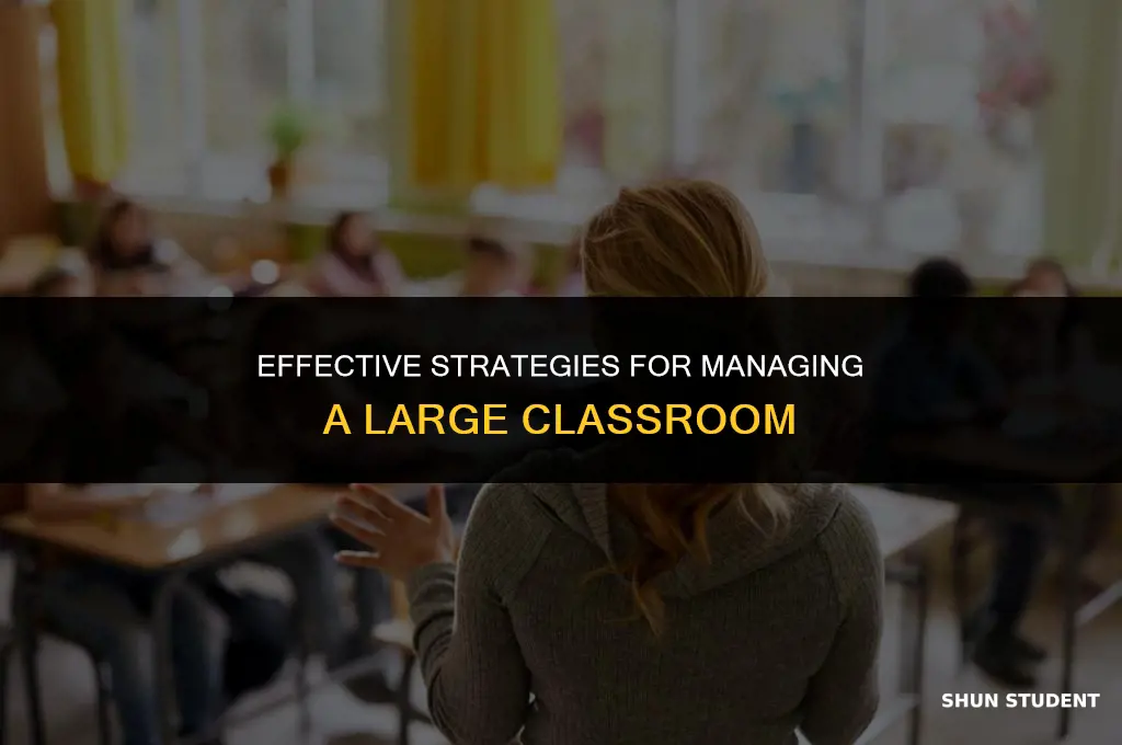 how to manage a large class of students