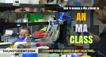 Strategies for Integrating PhD Students into MA Classrooms