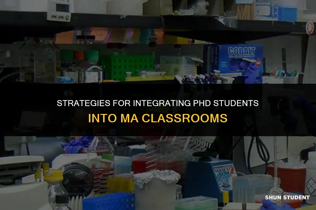 how to manage a phd student in an ma class