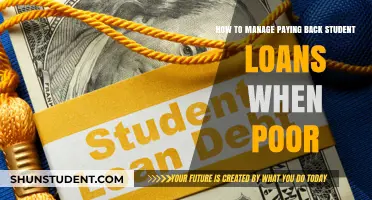 Student Loans: Strategies for Repayment When Finances Are Tight