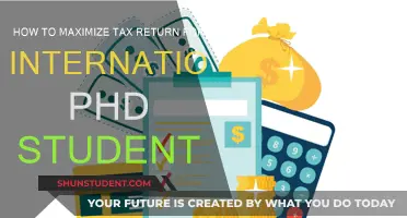 Maximizing Tax Returns: A Guide for International PhD Students