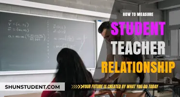 Measuring Student-Teacher Bonds: Strategies for Assessing Classroom Relationships