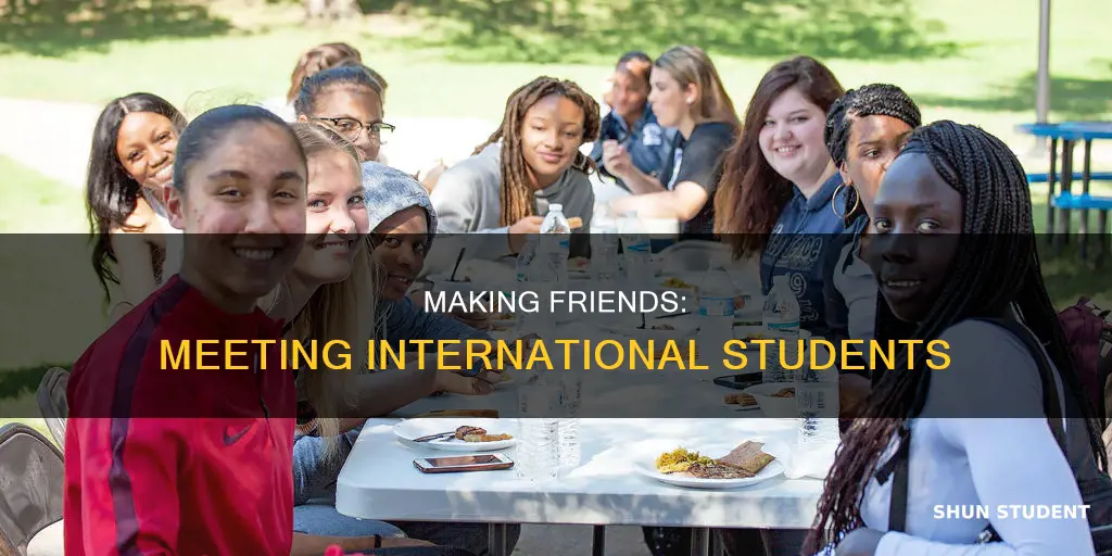 how to meet international students