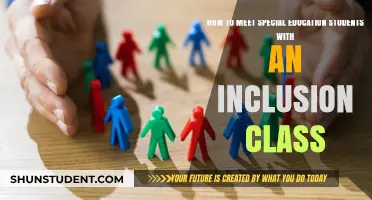 Fostering Inclusion: Strategies for Supporting Special Education Students in Mainstream Classrooms
