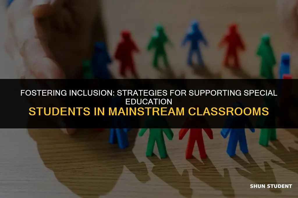 how to meet special education students with an inclusion class