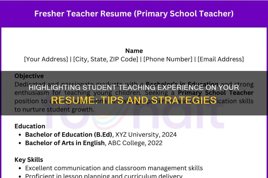 how to mention student teaching on resume