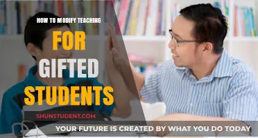 Tailoring Instruction: Effective Strategies for Engaging Gifted Learners in Classrooms
