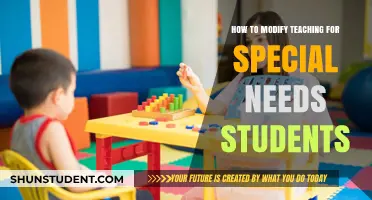 Tailoring Teaching Strategies for Special Needs Students' Success