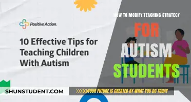 Tailoring Teaching Strategies for Autism: Effective Methods for Inclusive Learning