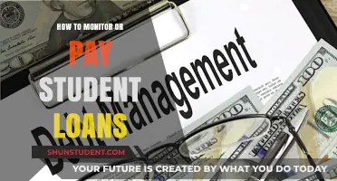 Student Loan Strategies: Monitor and Manage Your Debt