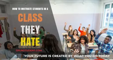 Reigniting Passion: Strategies to Motivate Students in Challenging Classes