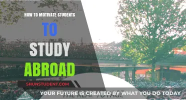 Unlocking Global Potential: Strategies to Inspire Students to Study Abroad
