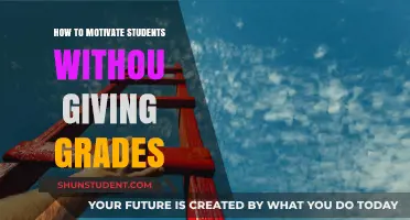 Beyond Grades: Innovative Strategies to Ignite Student Motivation