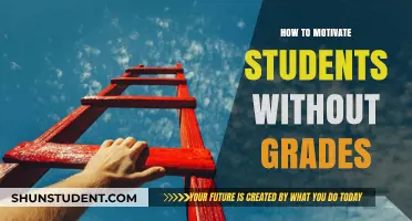 Beyond Grades: Innovative Strategies to Ignite Student Motivation